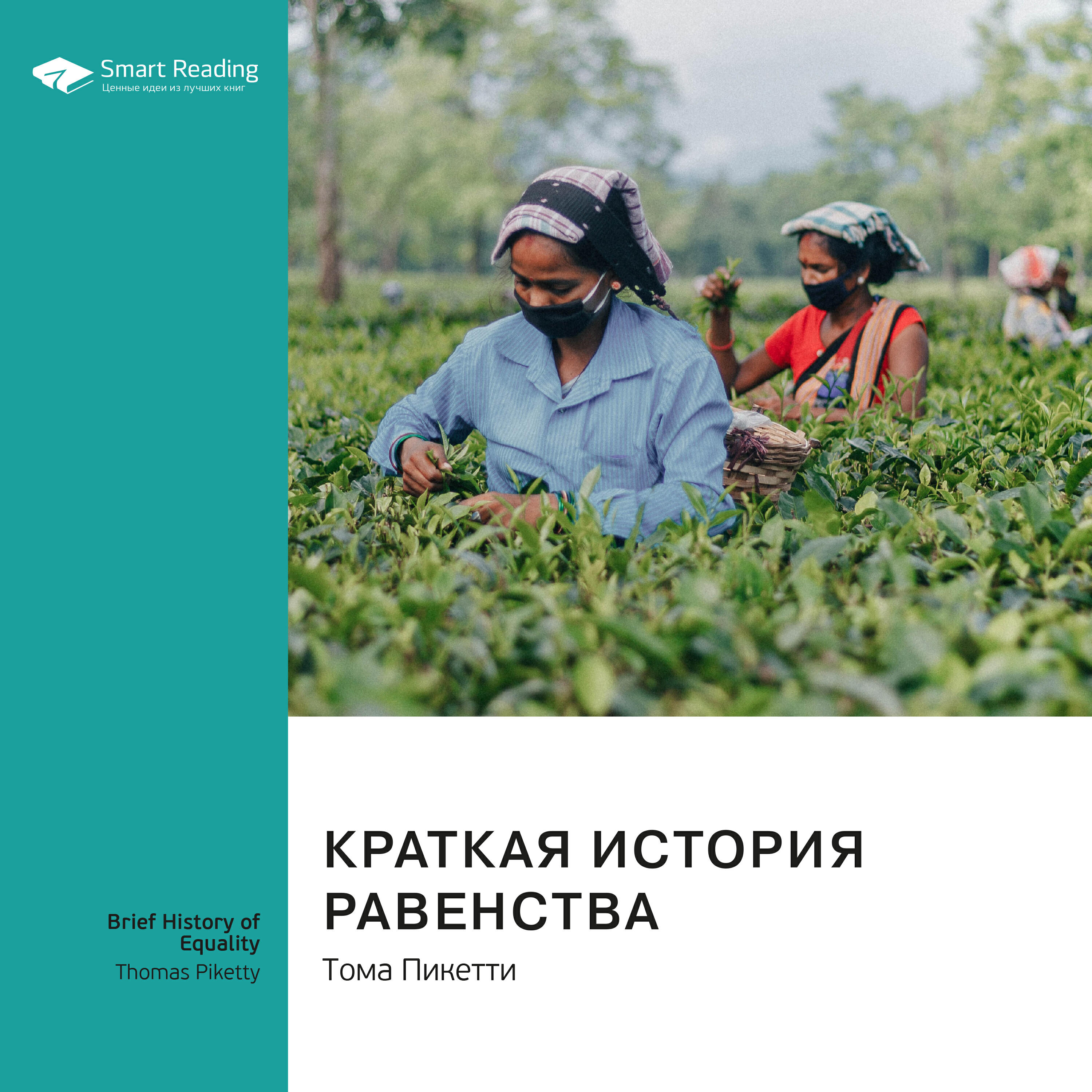 Книга Краткая история равенства. Тома Пикетти. Ключевые идеи книги