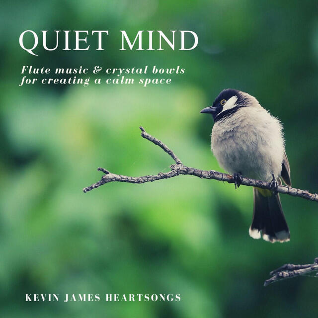 Релиз Quiet Mind