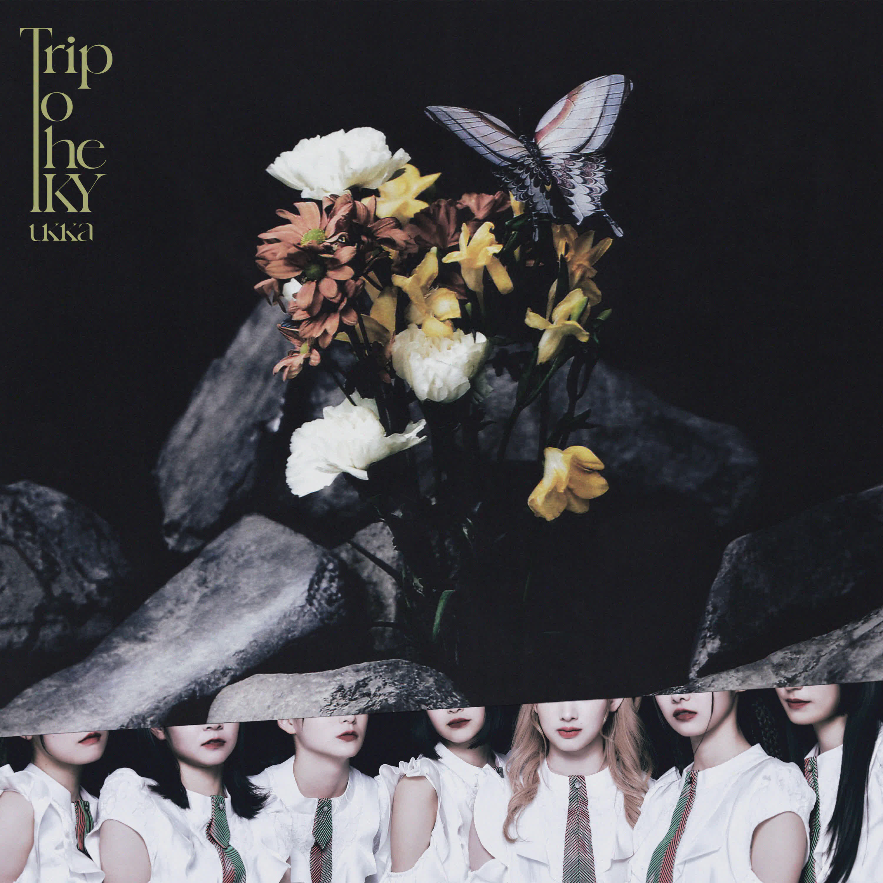 Релиз Trip To The TKY