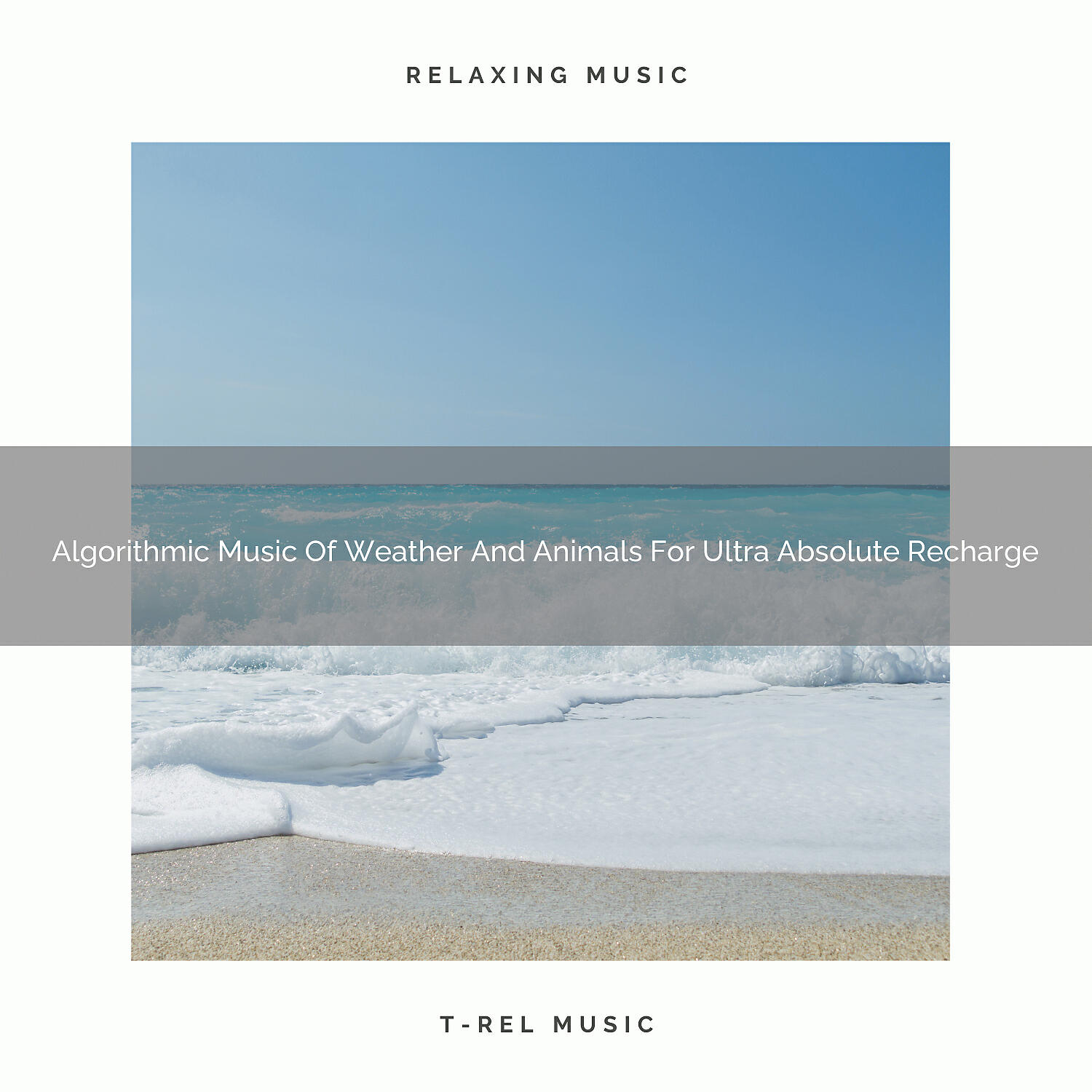 Релиз Algorithmic Music Of Weather And Animals For Ultra Absolute Recharge