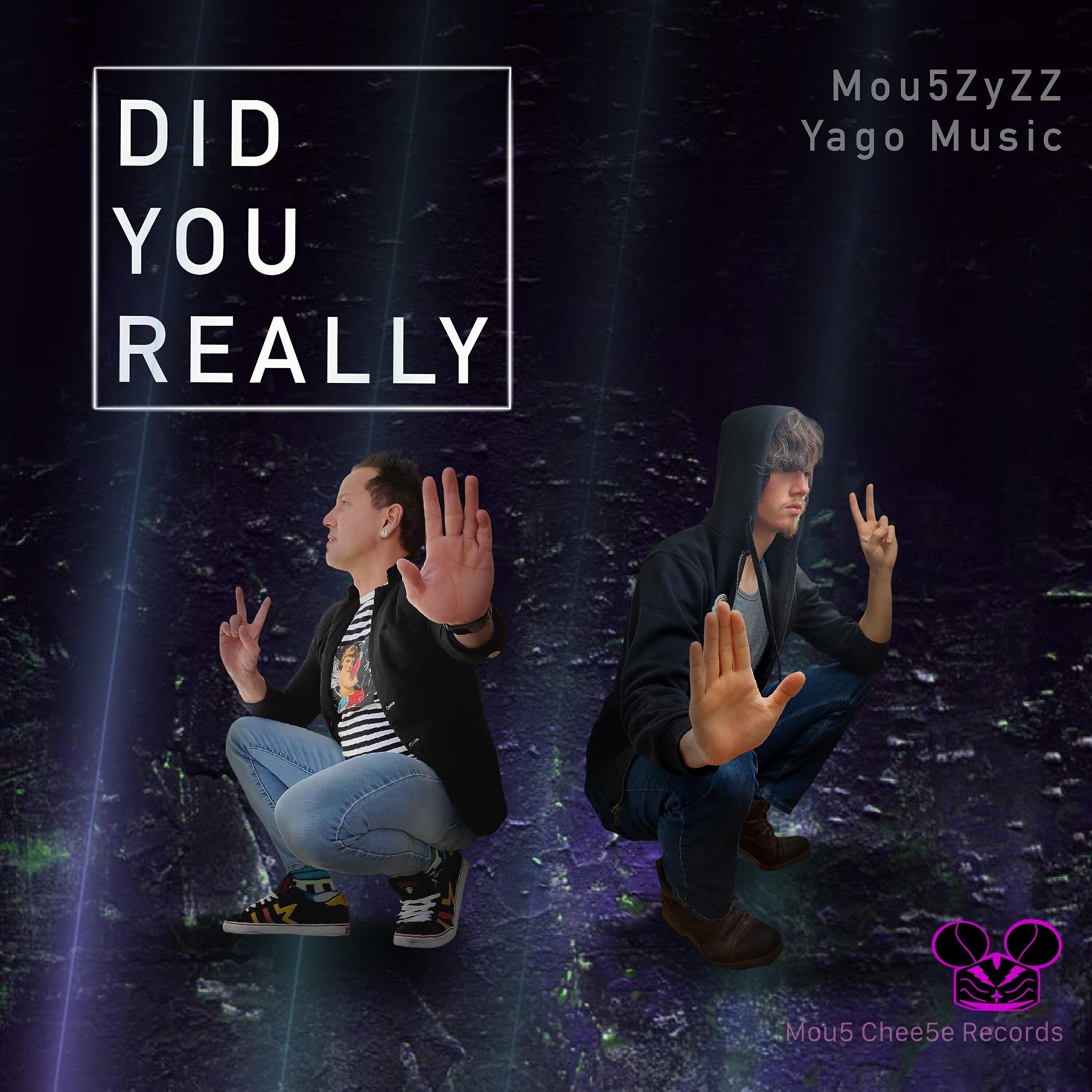 Релиз Did You Really?