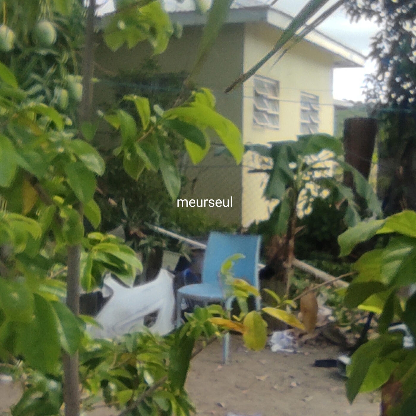 Релиз meurseul