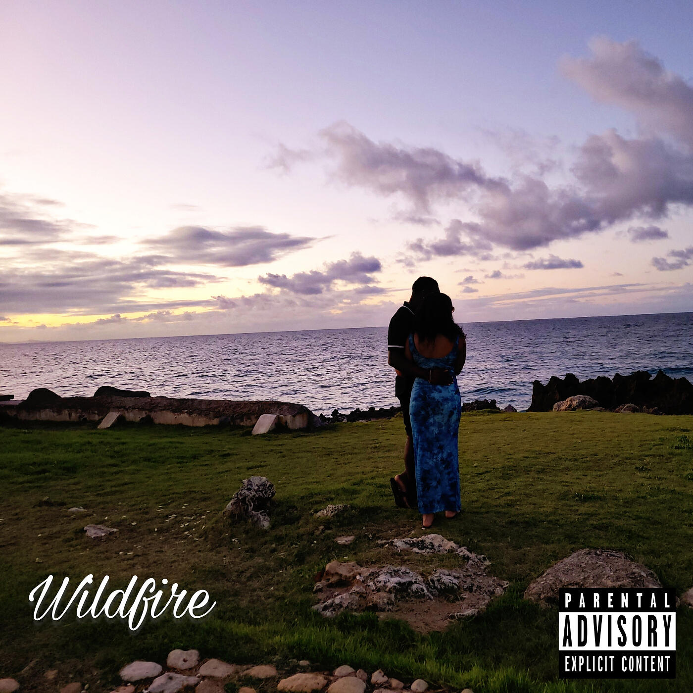 Релиз Wildfire