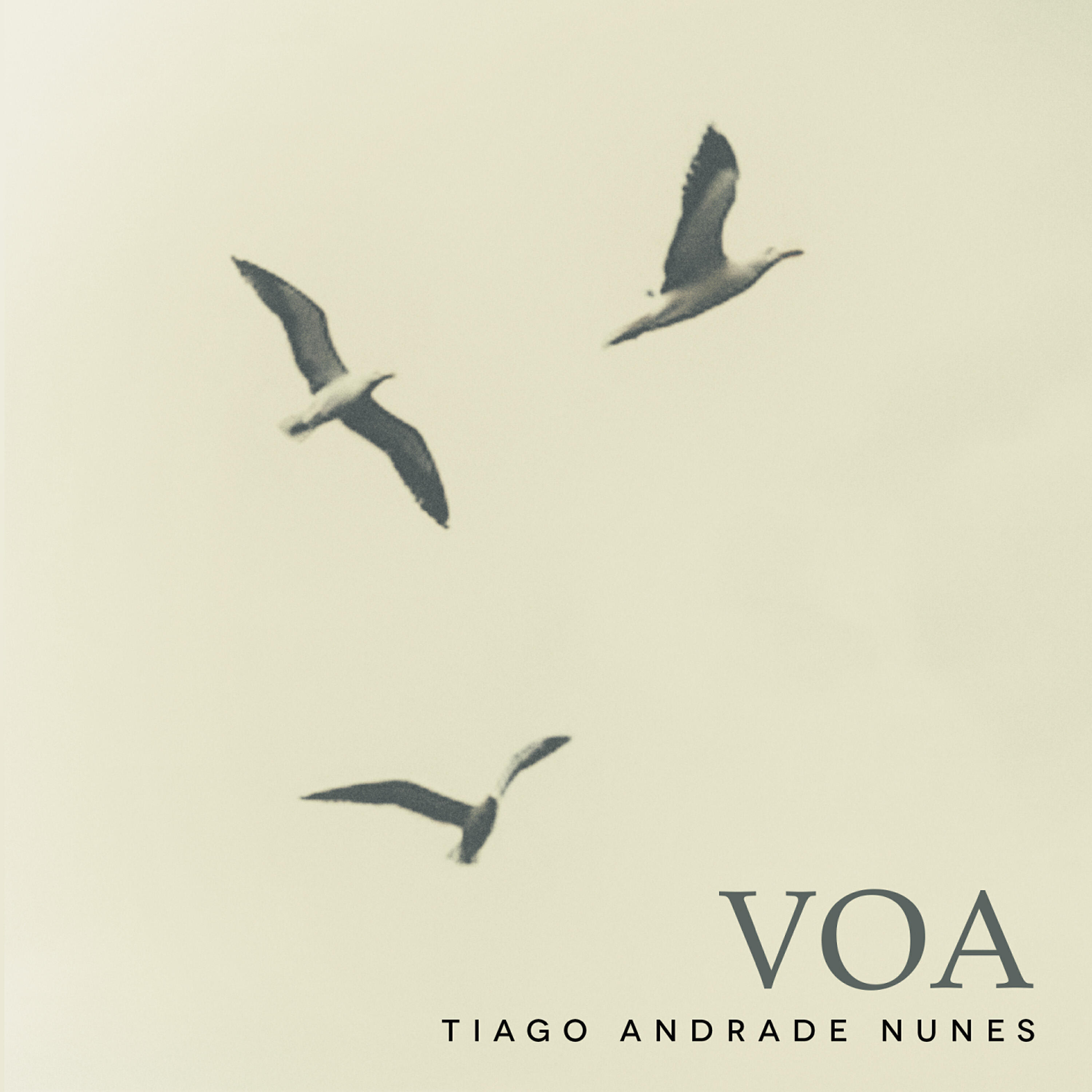 Tiago Andrade Nunes