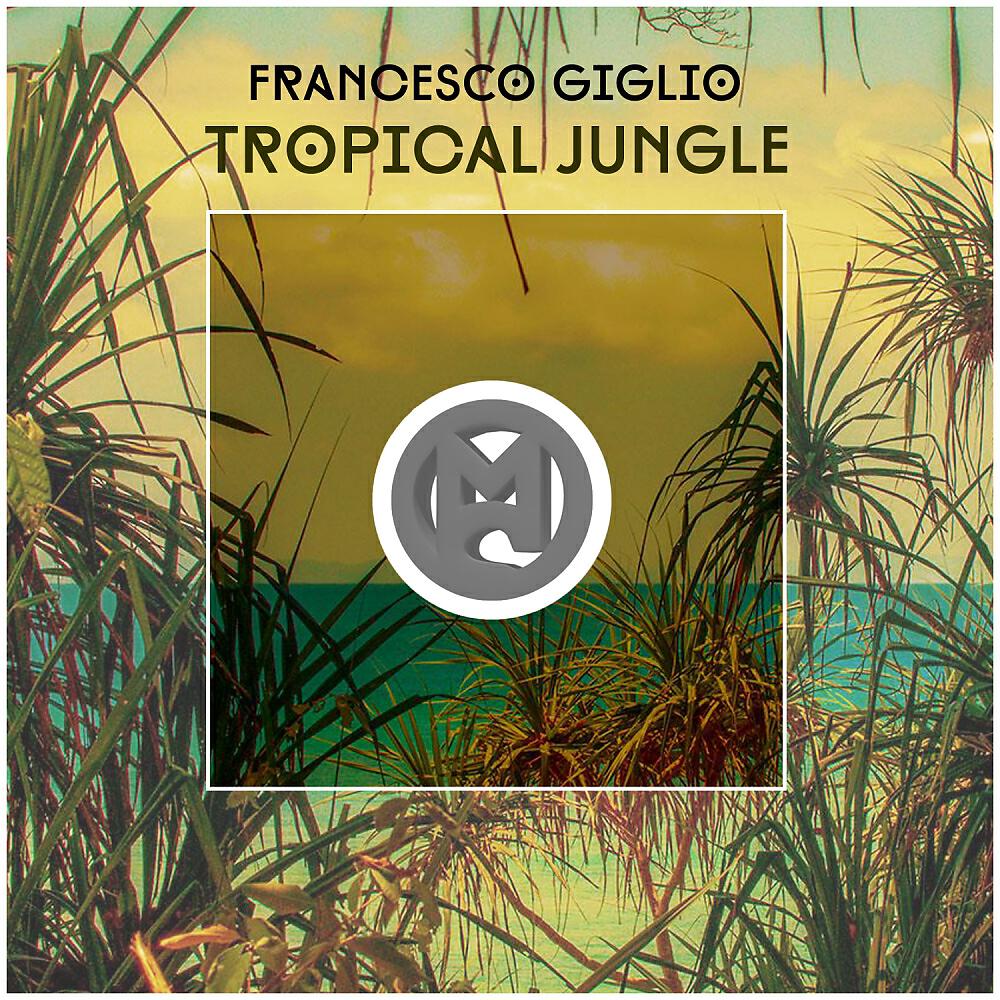 Релиз Tropical Jungle