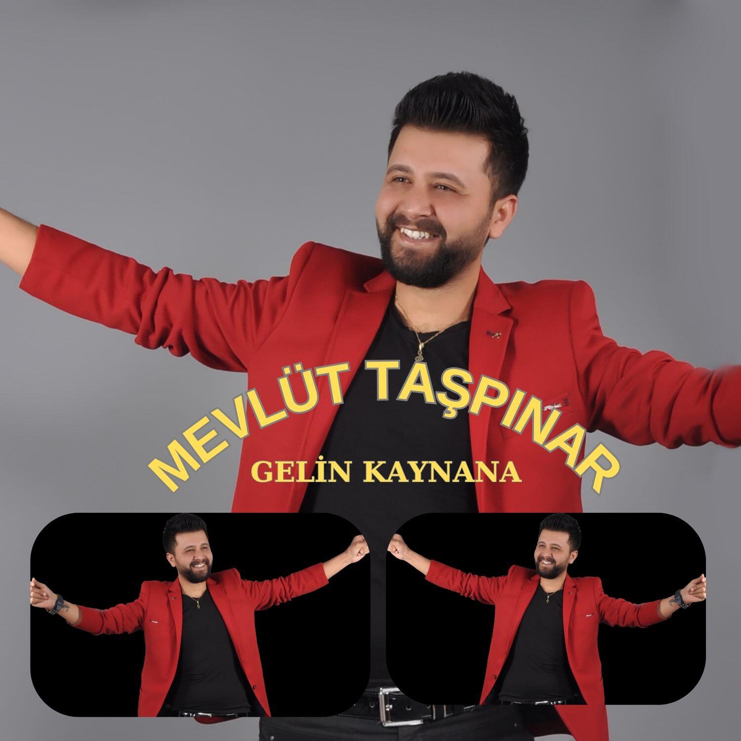 Постер альбома Gelin Kaynana