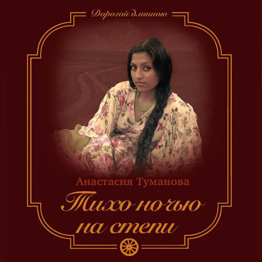 Книга Тихо ночью на степи