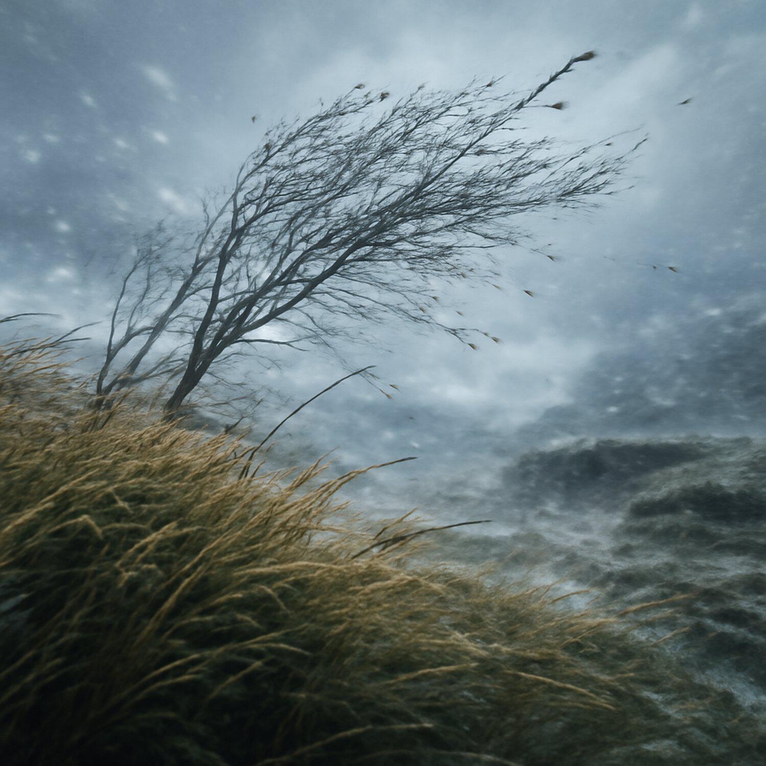 Релиз Taiga Wind