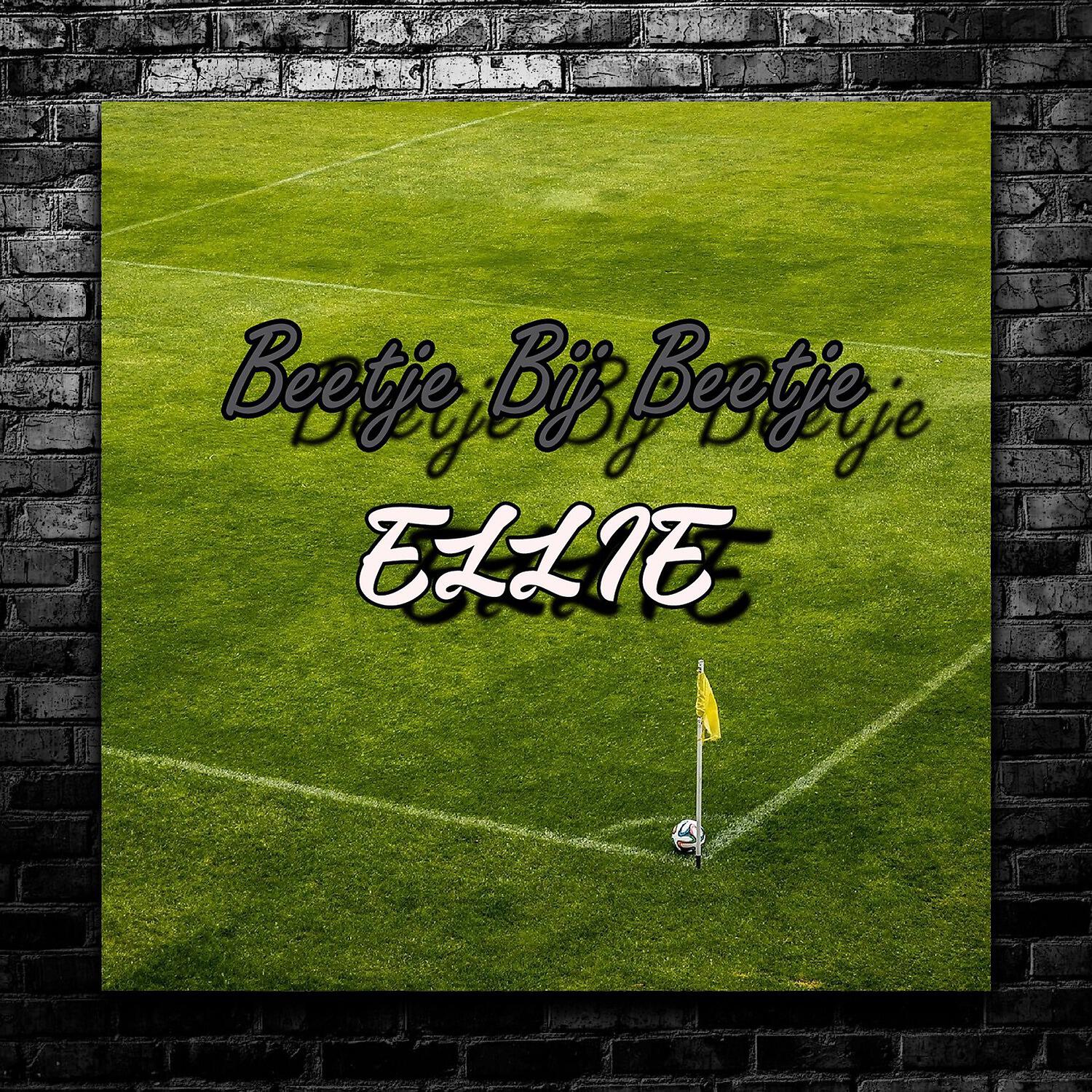Скачать песню Ellie, Marco vD - Ik Kwam Je Tegen бесплатно в MP3 для Android и iOS
