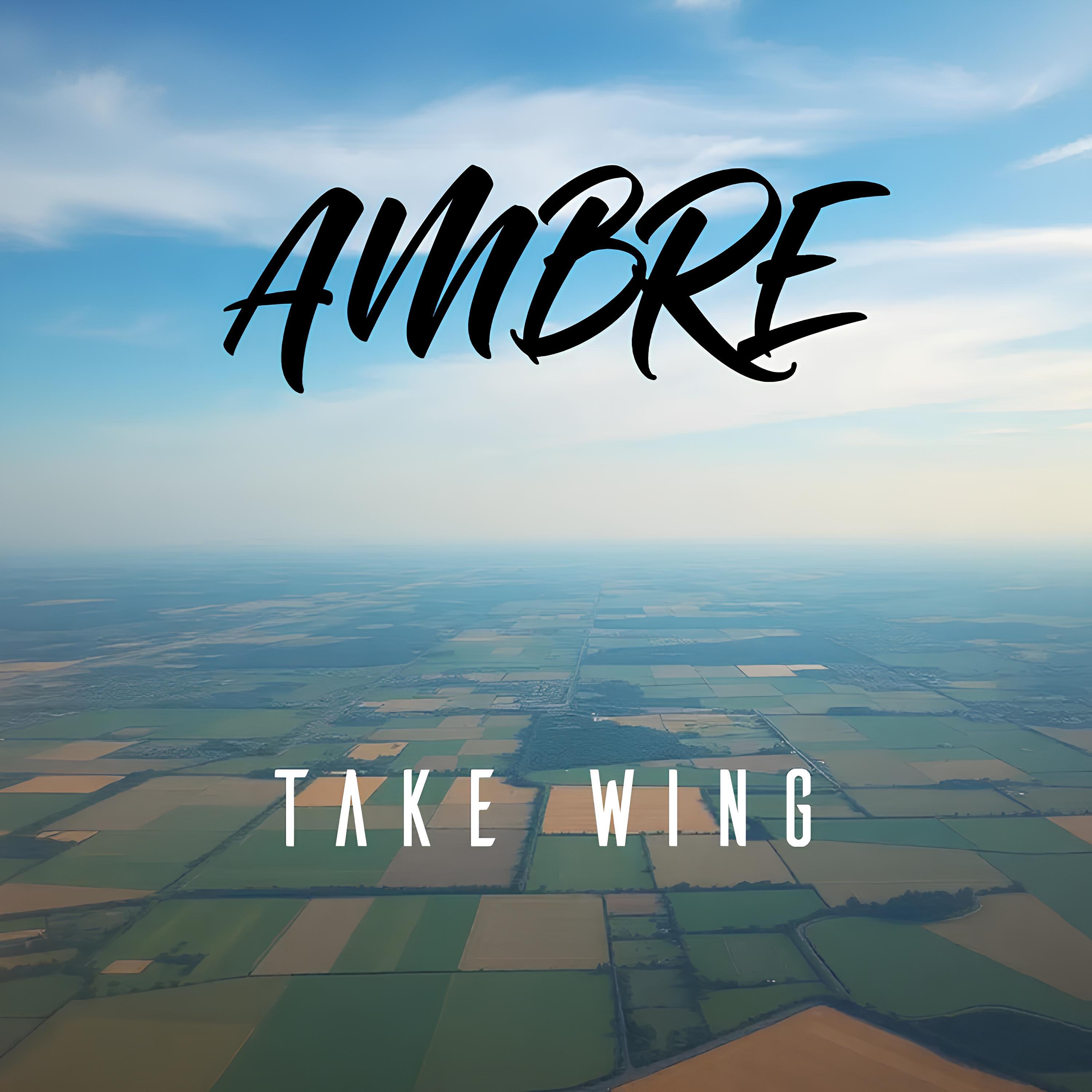 Постер альбома Take Wing