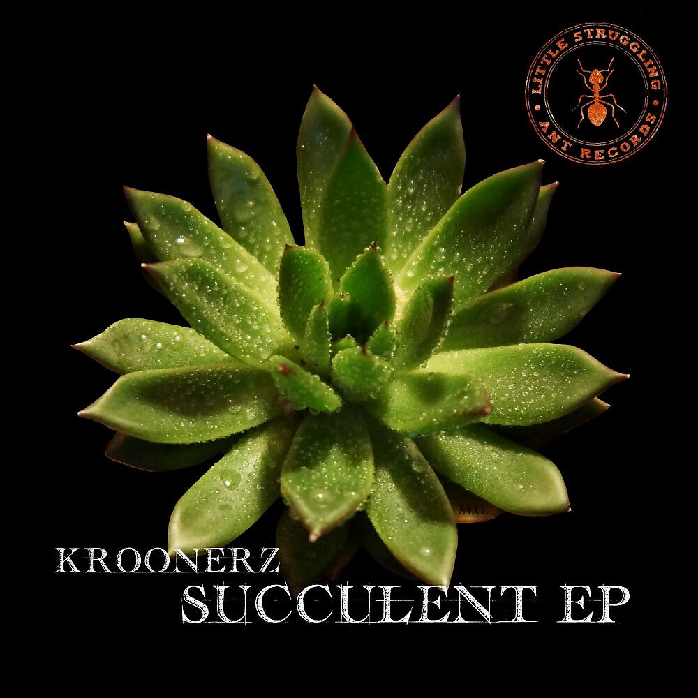 Релиз Succulent EP