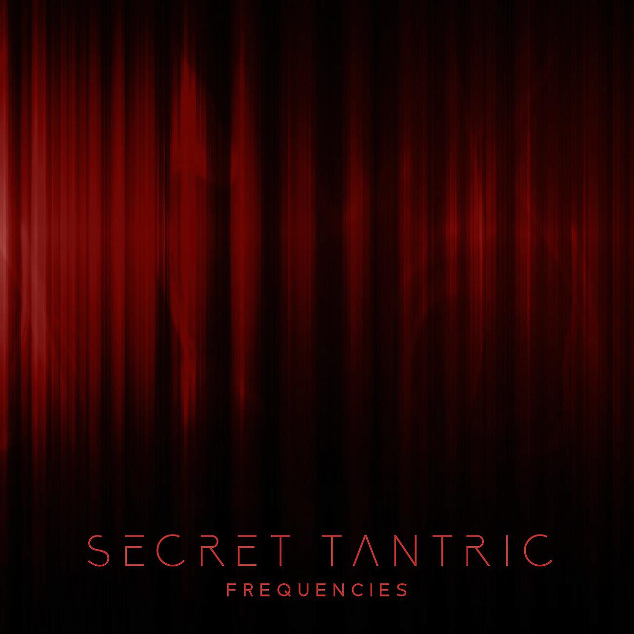 Релиз Secret Tantric Frequencies