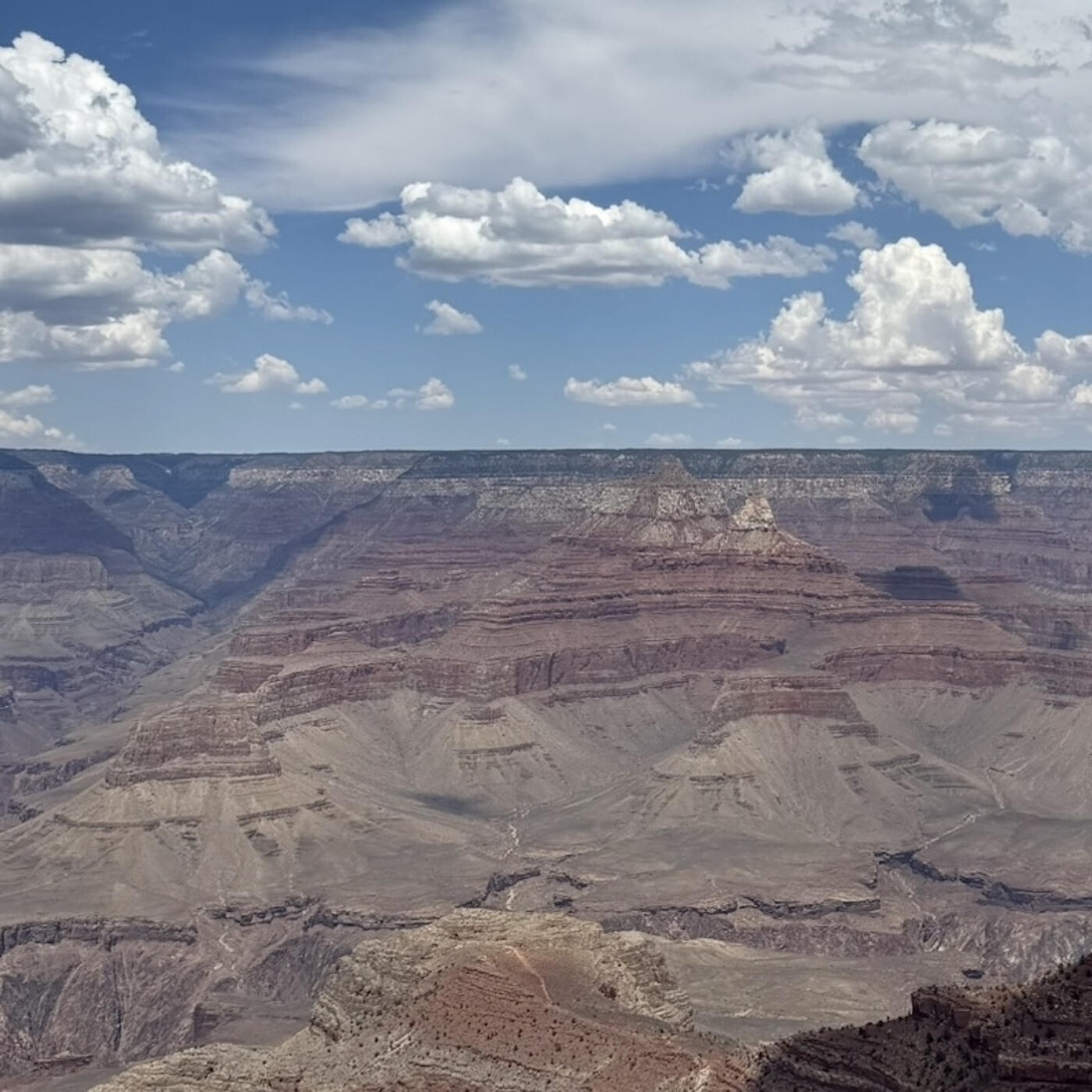 Релиз canyon