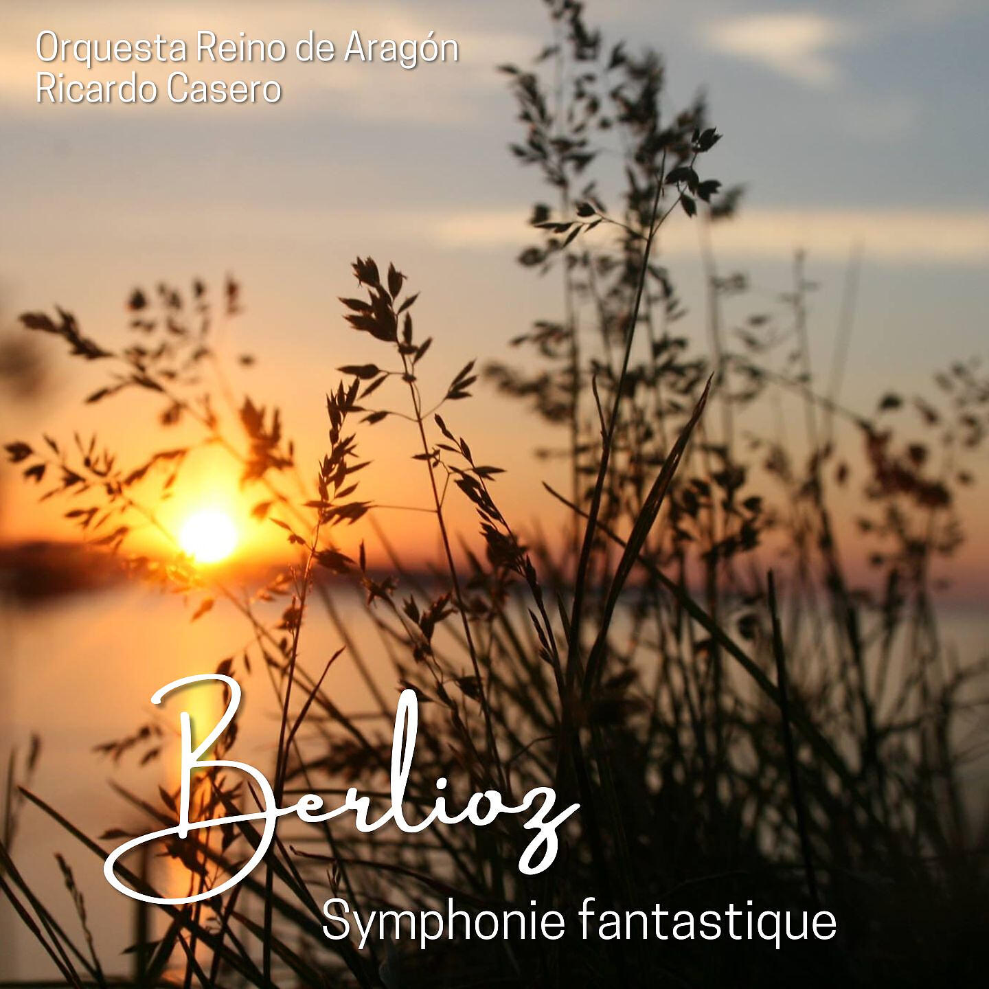Скачать песню Orquesta Reino de Aragón, Ricardo Casero - Symphonie Fantastique, H 48: II. Un bal. Valse. Allegro non troppo (Live) бесплатно в MP3 для Android и iOS