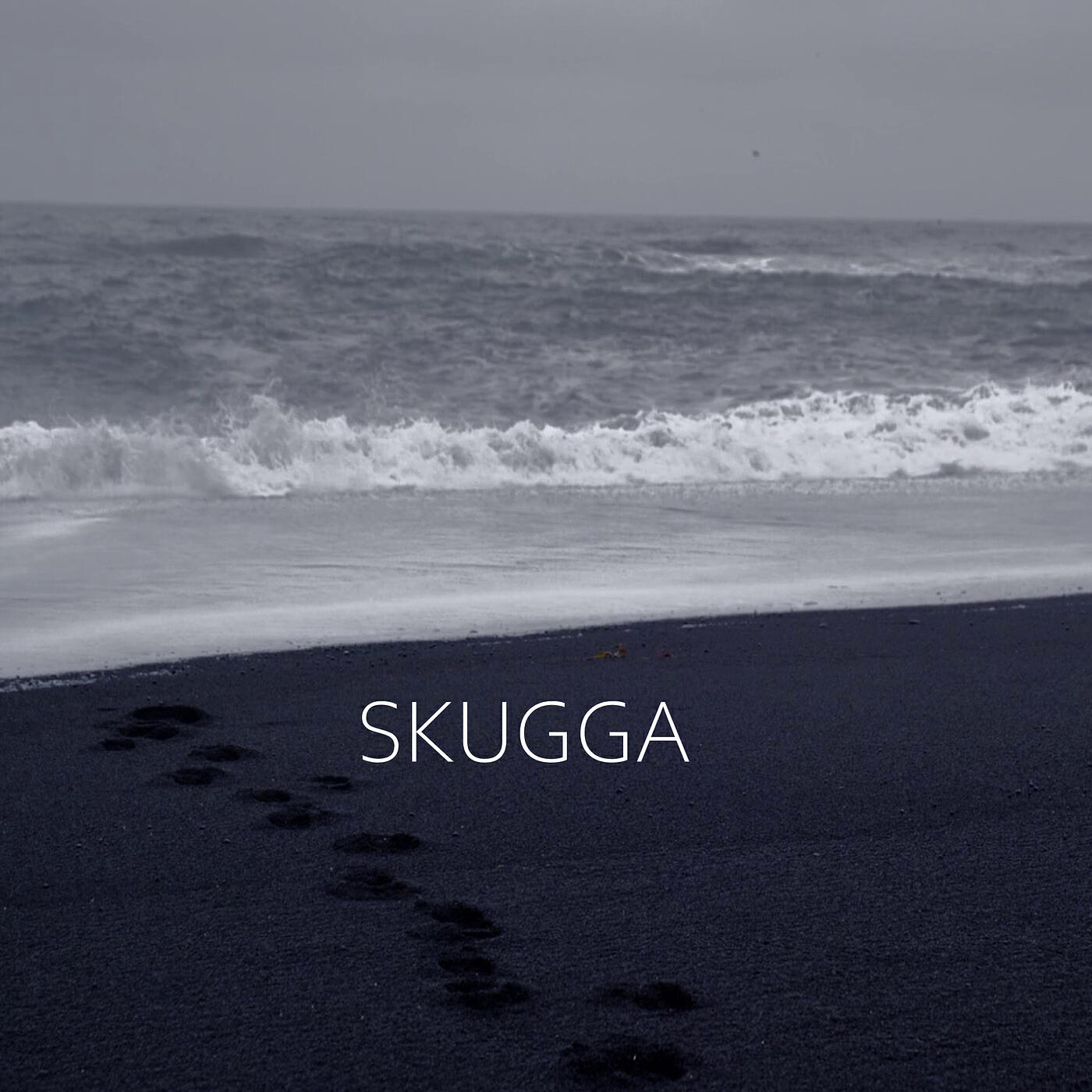 Постер альбома Skugga