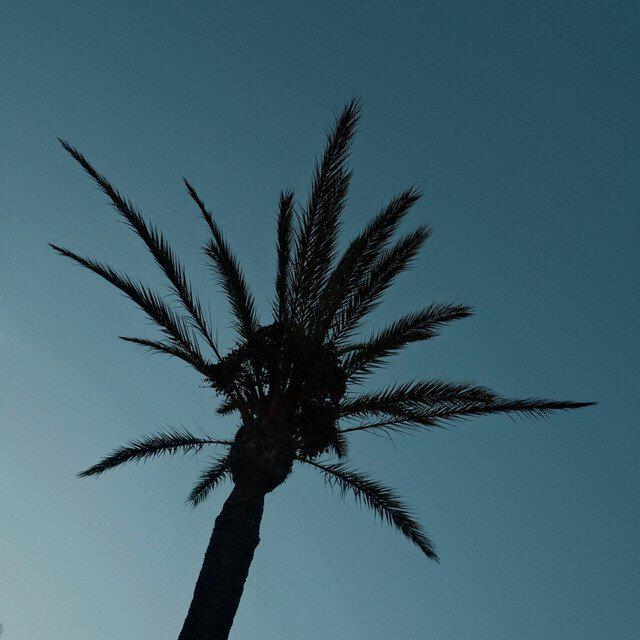 Релиз Because of You