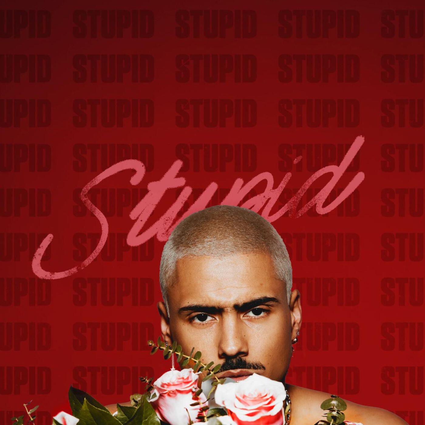 Релиз STUPID