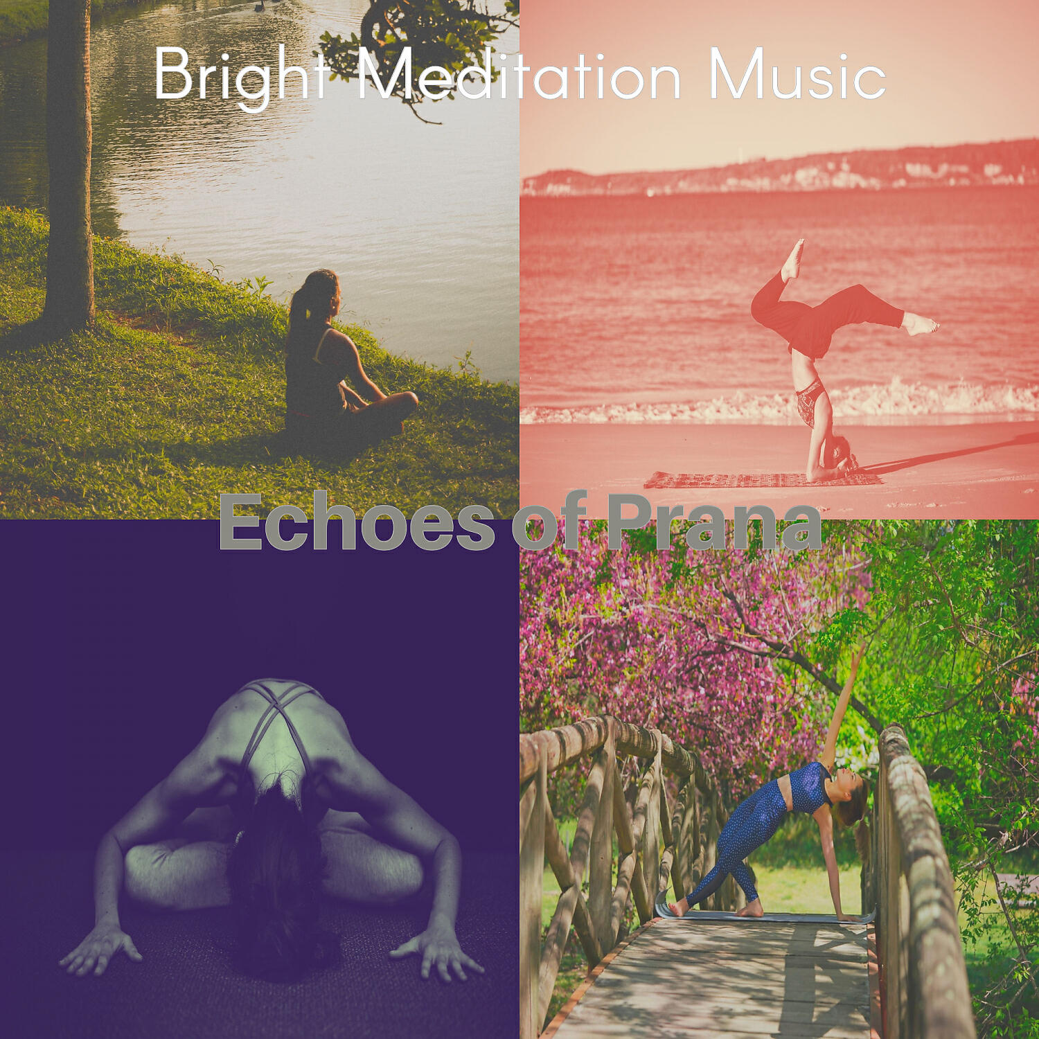 Релиз Echoes of Prana