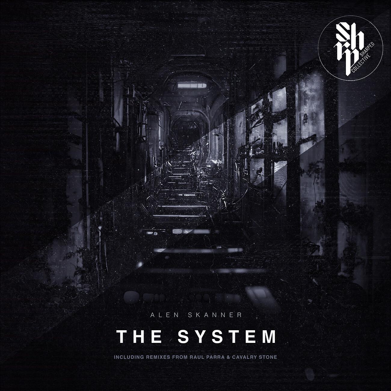 Постер альбома The System