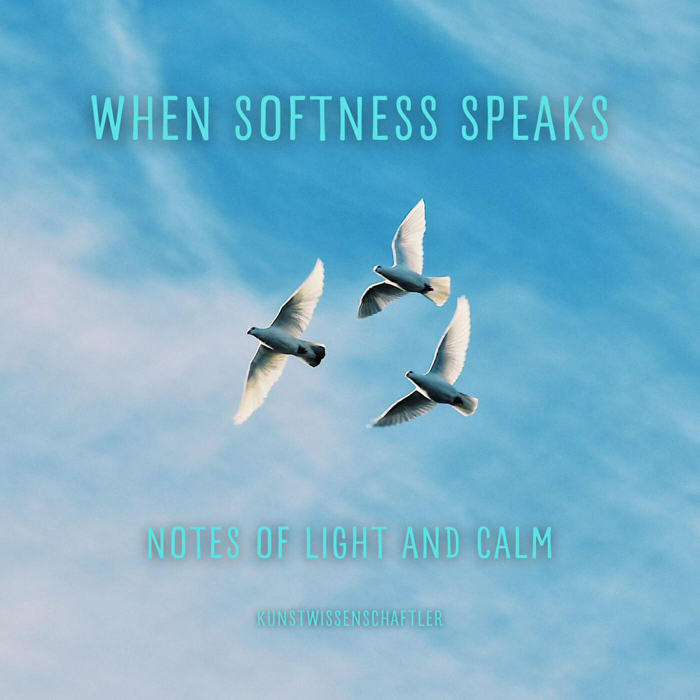 Постер альбома When Softness Speaks (Notes of Light and Calm)