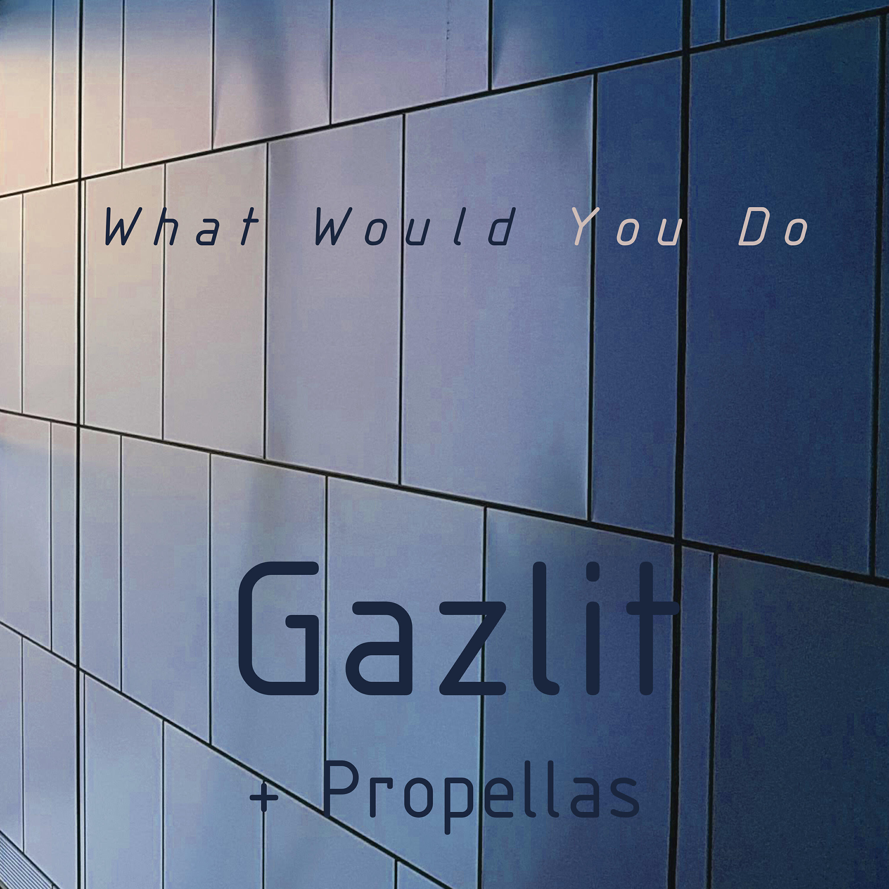 Релиз What Would You Do