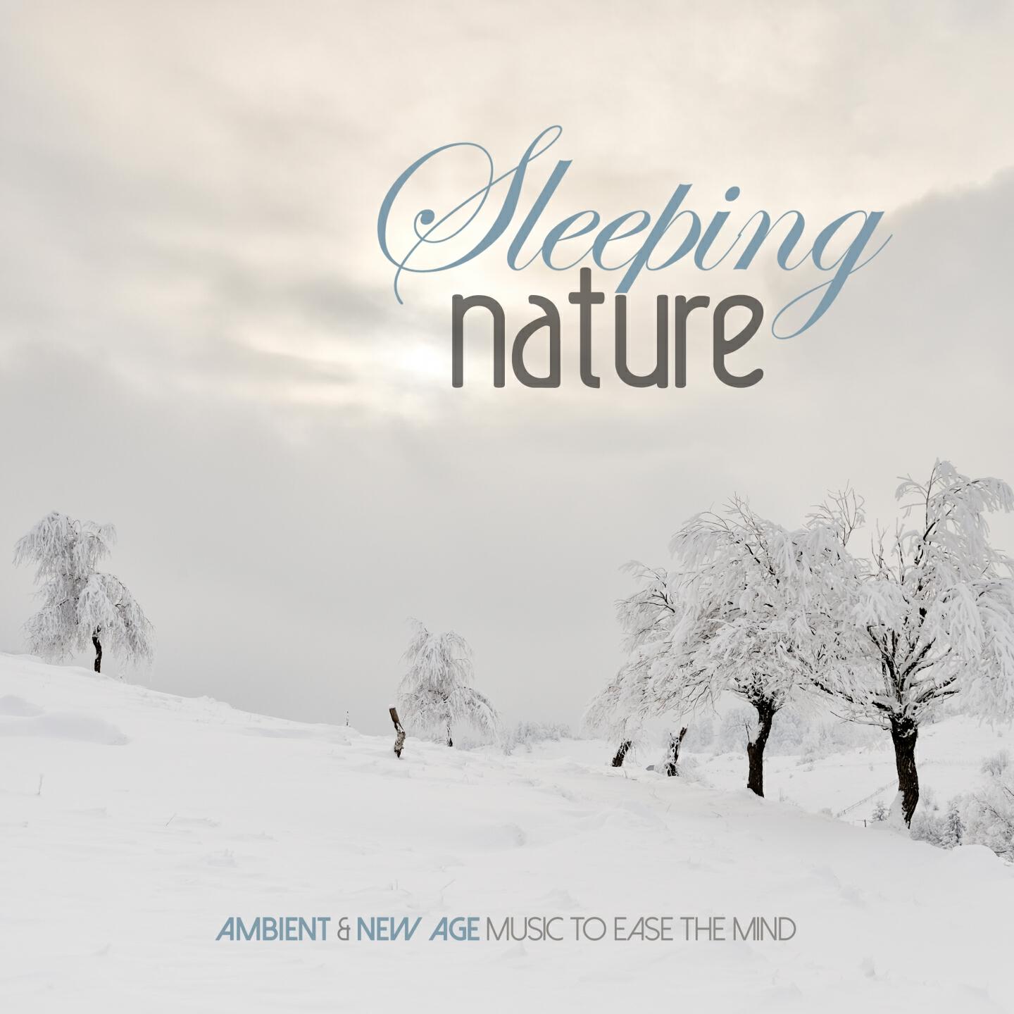 Релиз Sleeping Nature