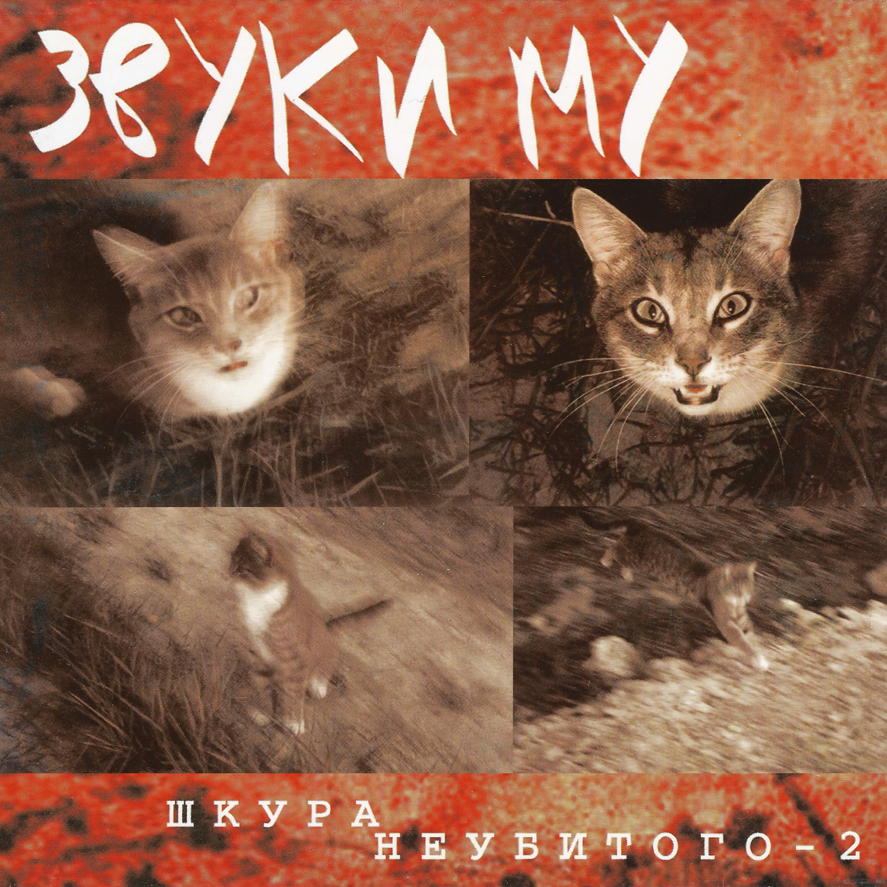 Релиз Шкура неубитого 2