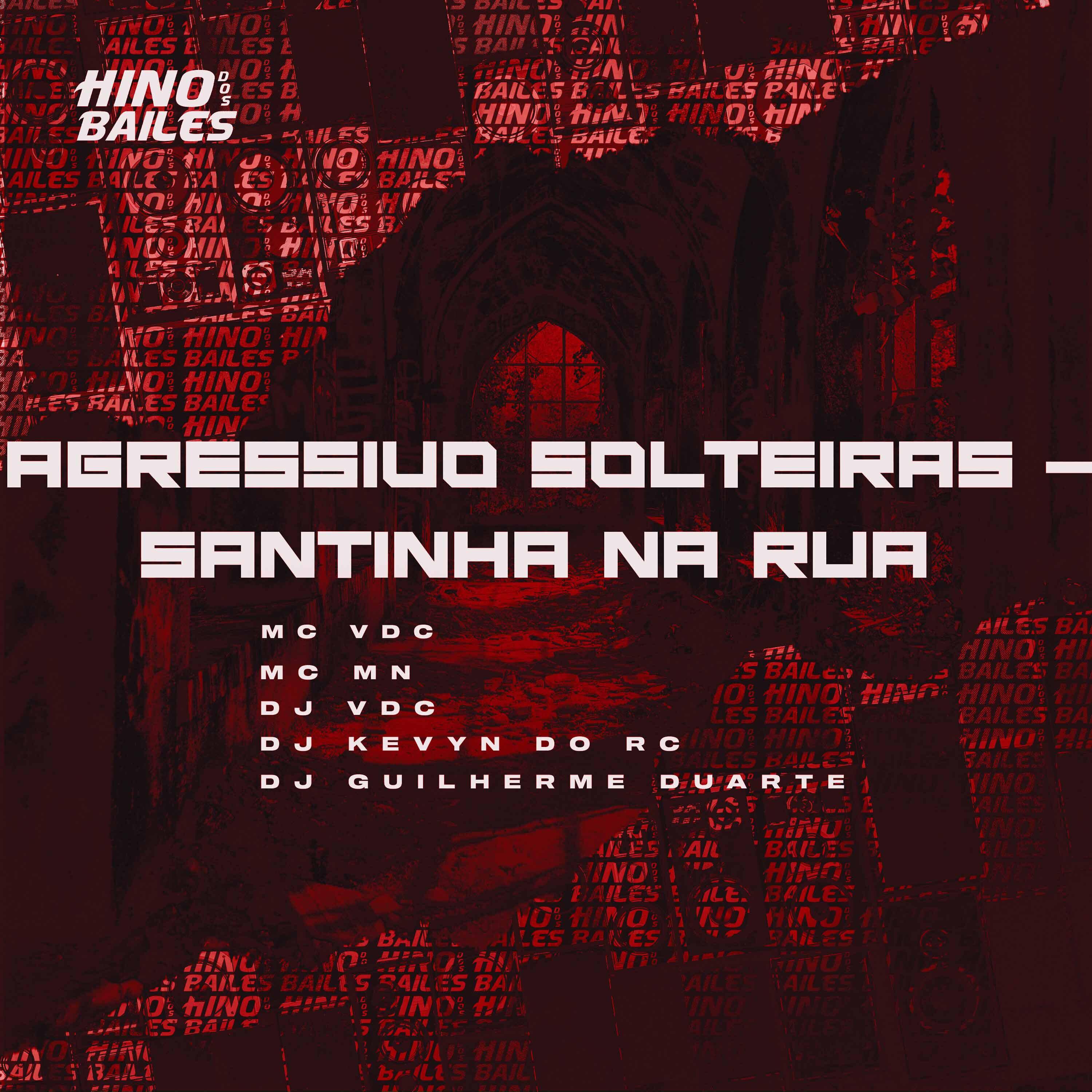 Постер альбома Agressivo Solteiras - Santinha na Rua