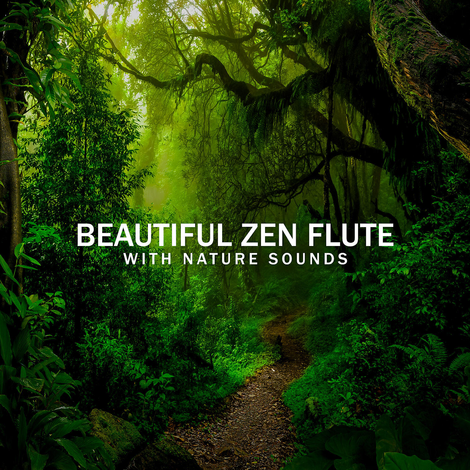 Релиз Beautiful Zen Flute with Nature Sounds: Forest, Birds, Ocean Waves and Rain