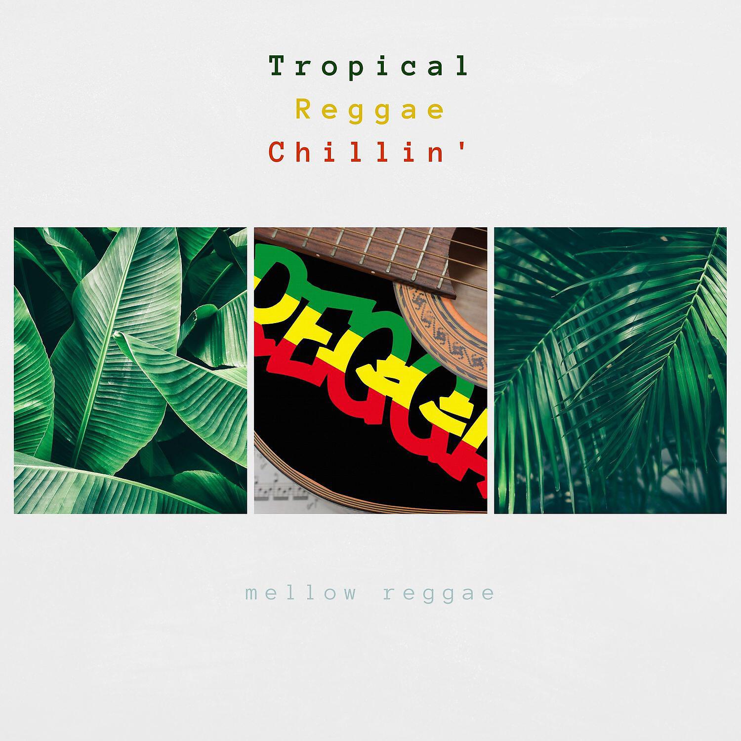 Релиз Tropical Reggae, Chillin'