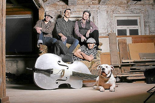 Fenders 55