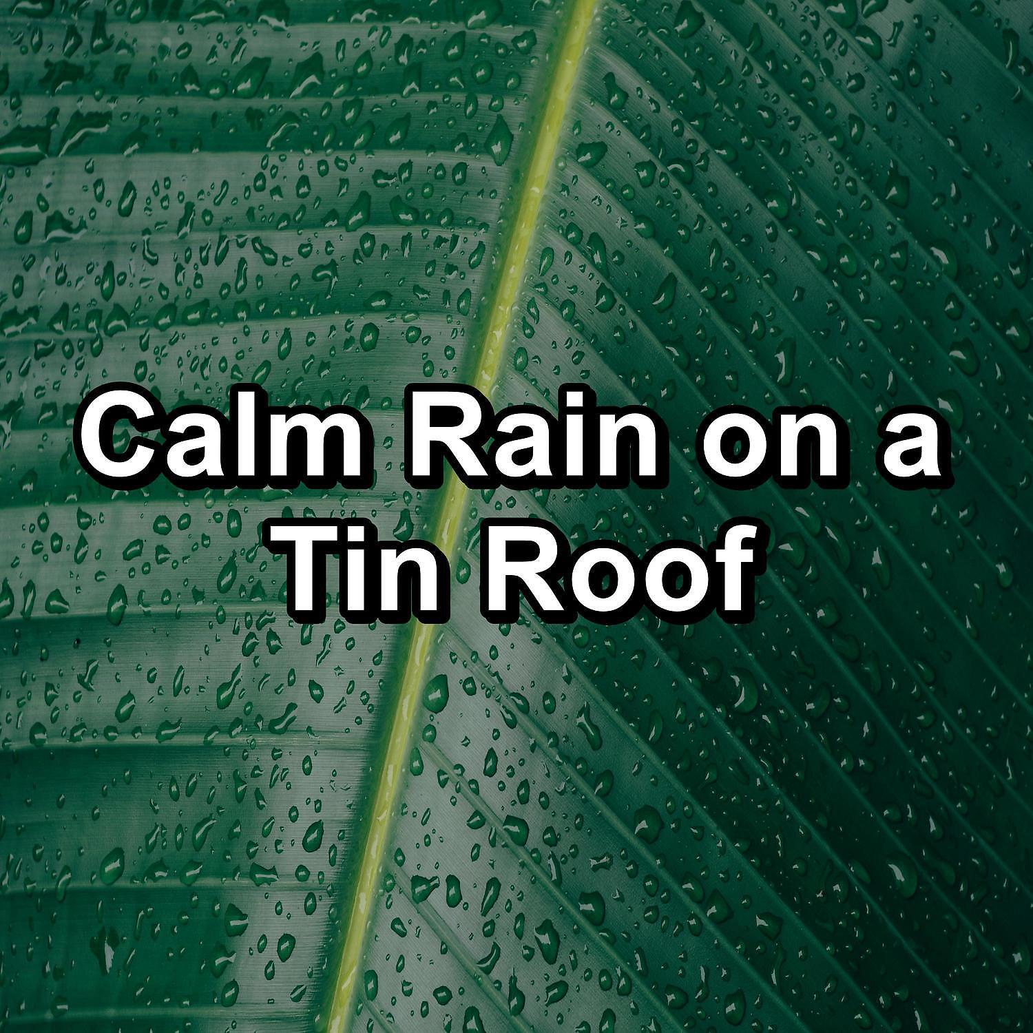 Релиз Calm Rain on a Tin Roof