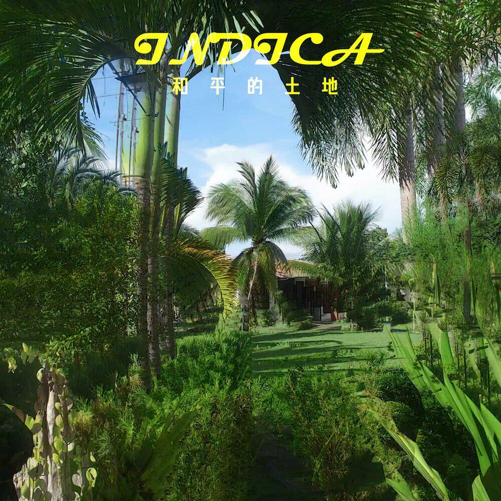 Релиз Indica