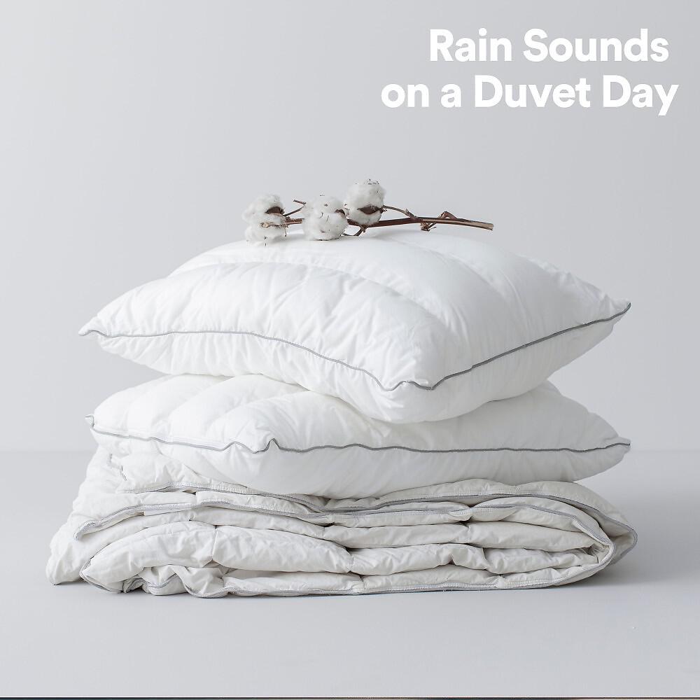 Релиз Rain Sounds on a Duvet Day