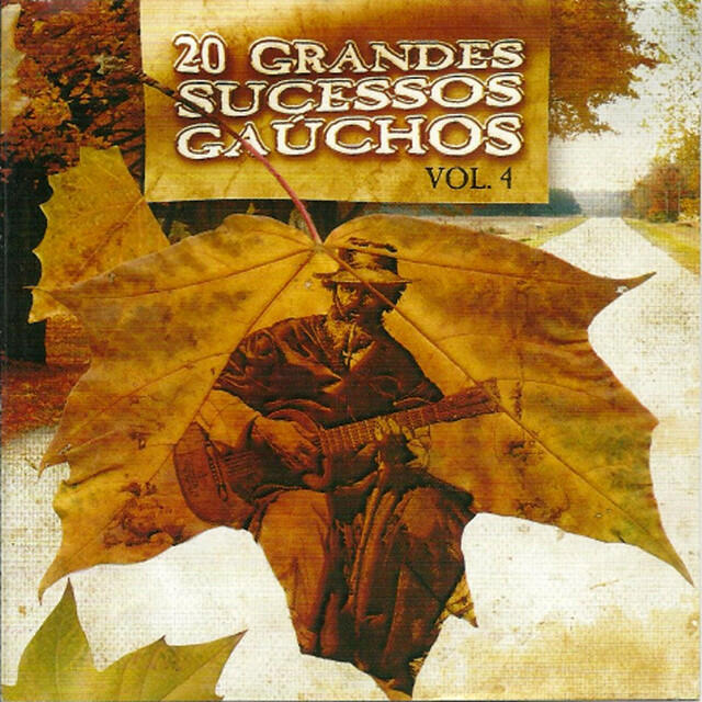 Релиз 20 Grandes Sucessos Gaúchos Vol. 4