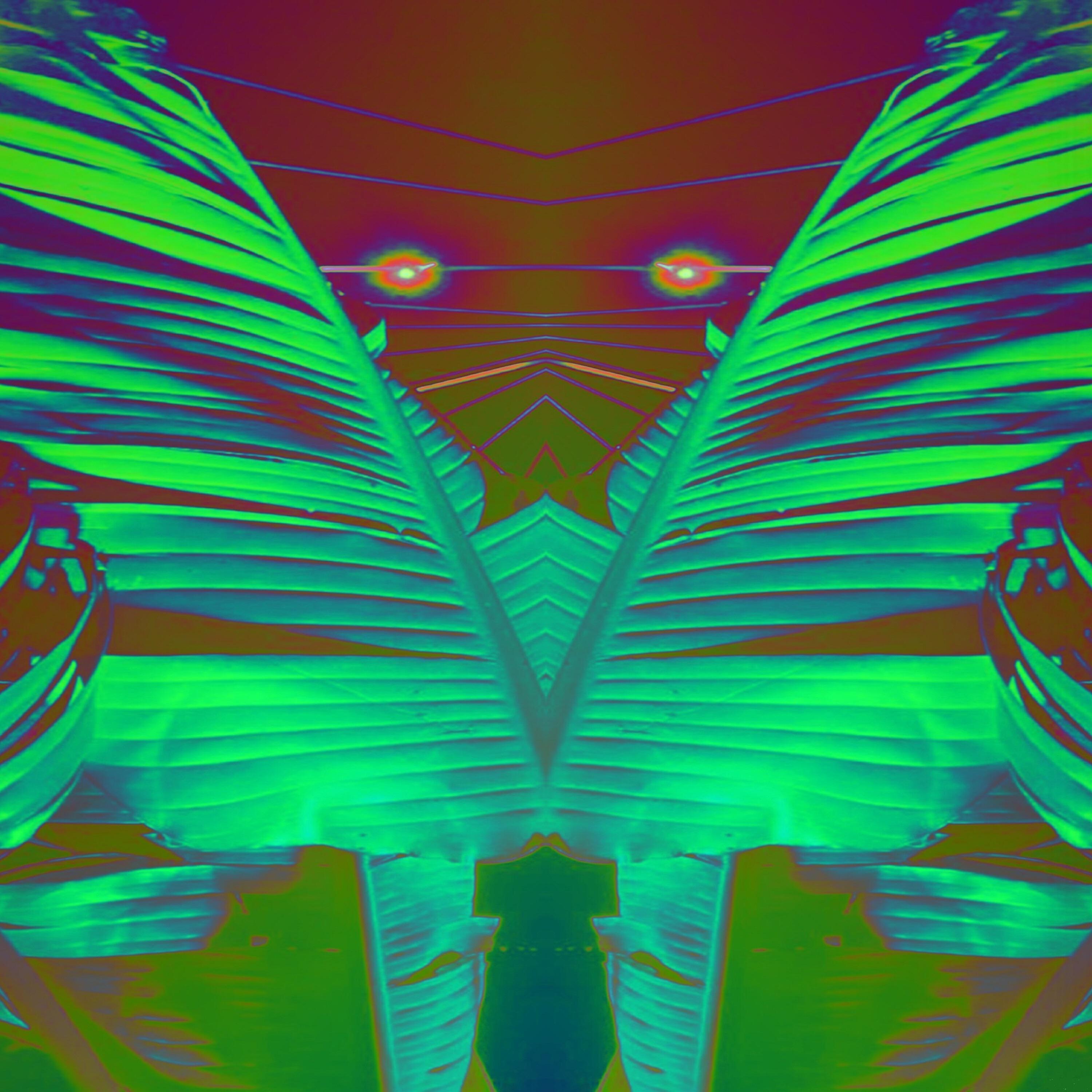 Релиз Jungle Mantra