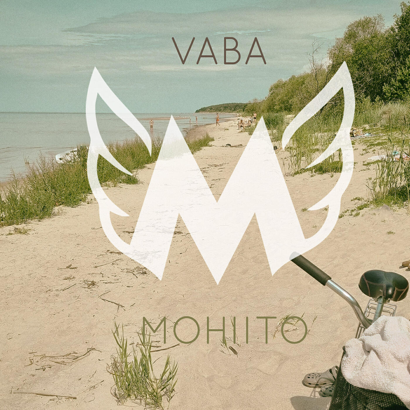 Релиз Vaba
