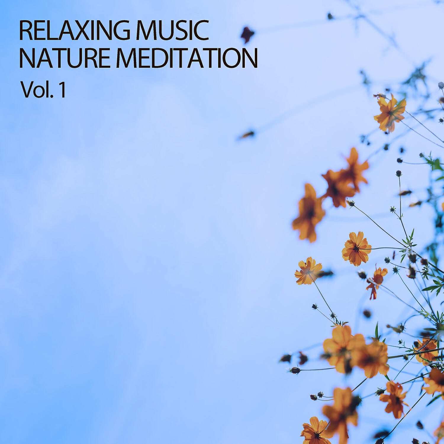 amazing Spa Experience & Sleep Meditation & Hotel Spa - Nature's Art