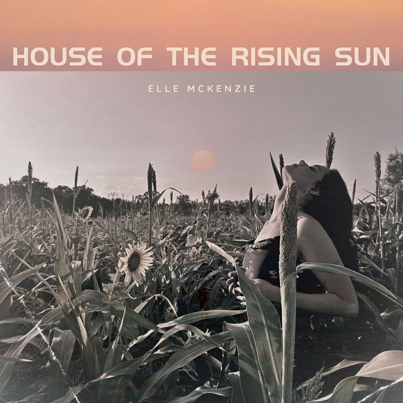 Релиз House of the Rising Sun - Unplugged