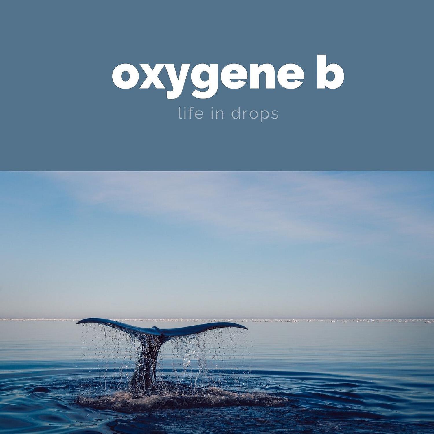 Oxygene B