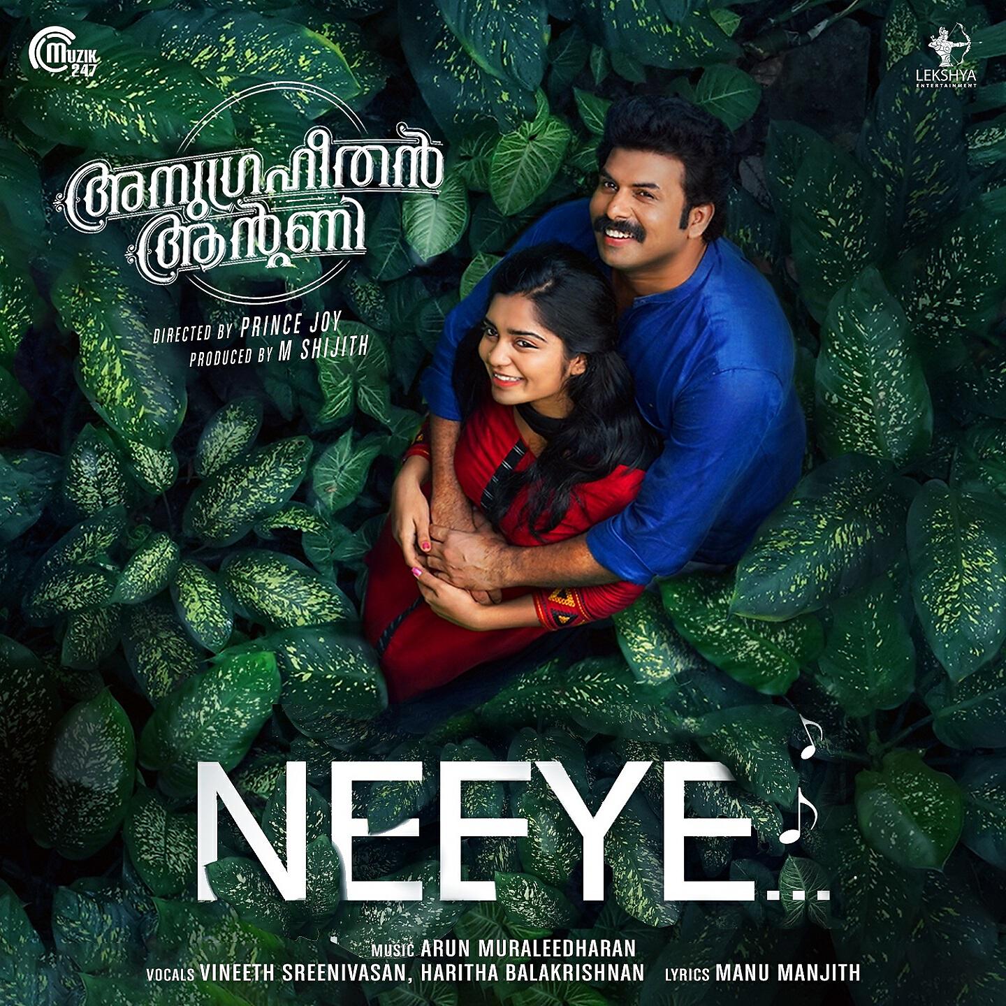 Релиз Neeye