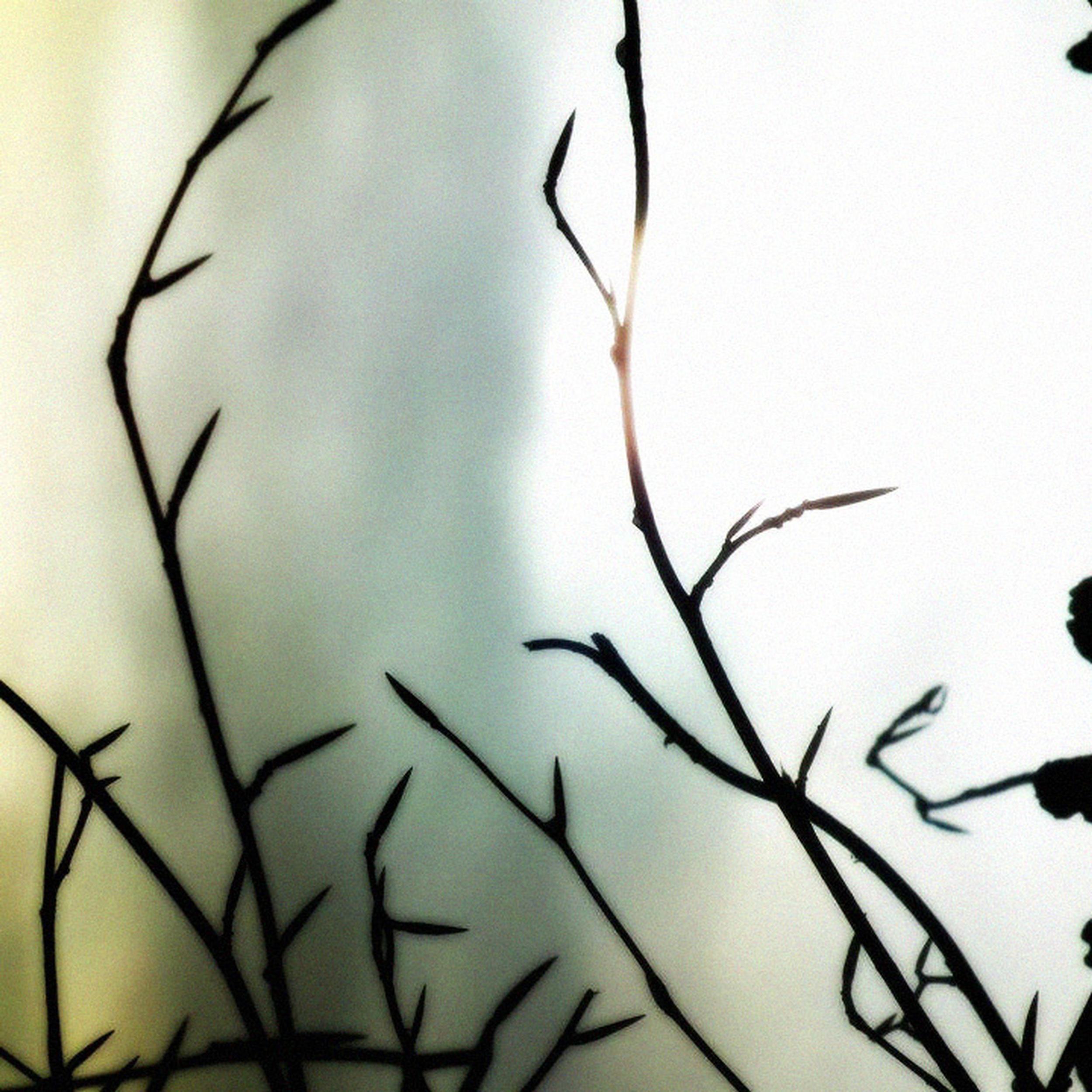 Релиз A Sense Of Uncertainty
