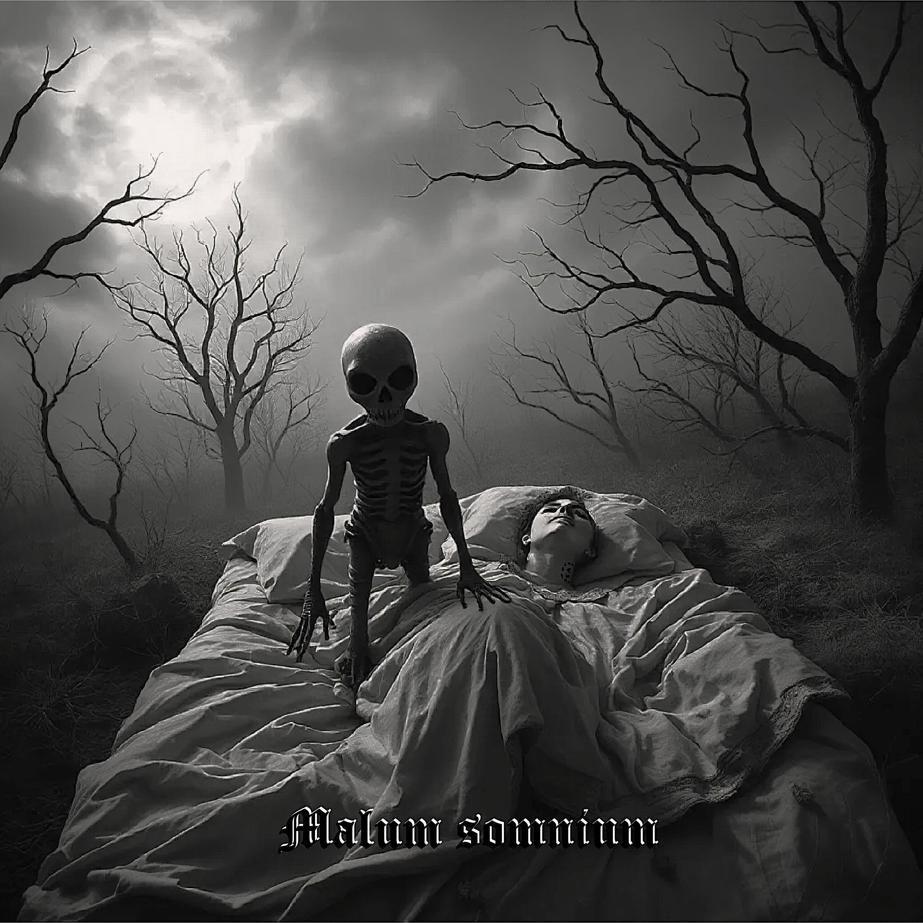 Постер альбома Malum somnium