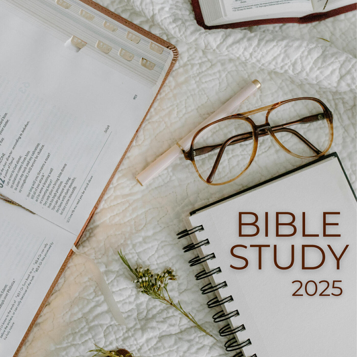 Релиз Bible Study 2025
