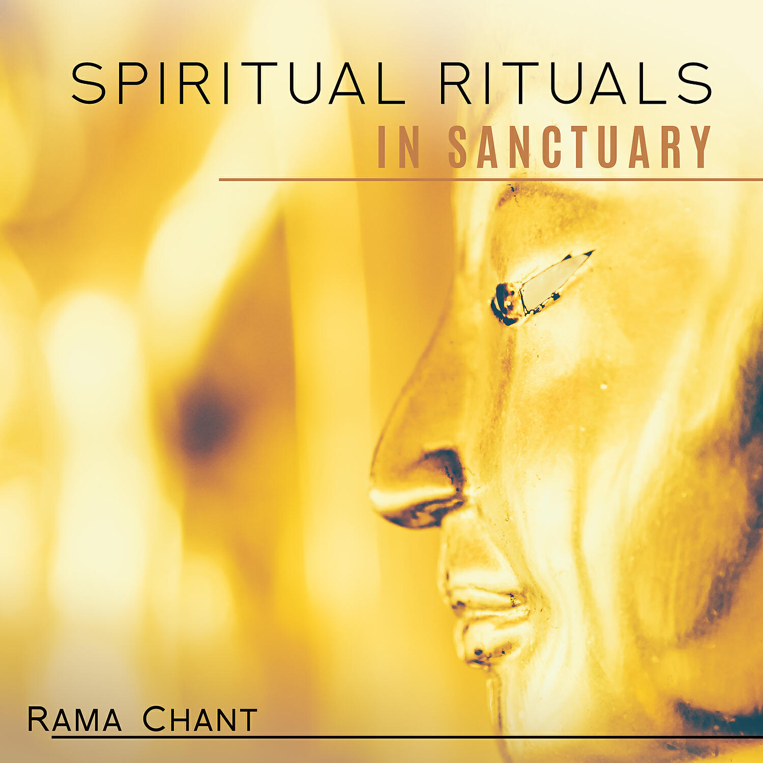 Релиз Spiritual Rituals in Sanctuary