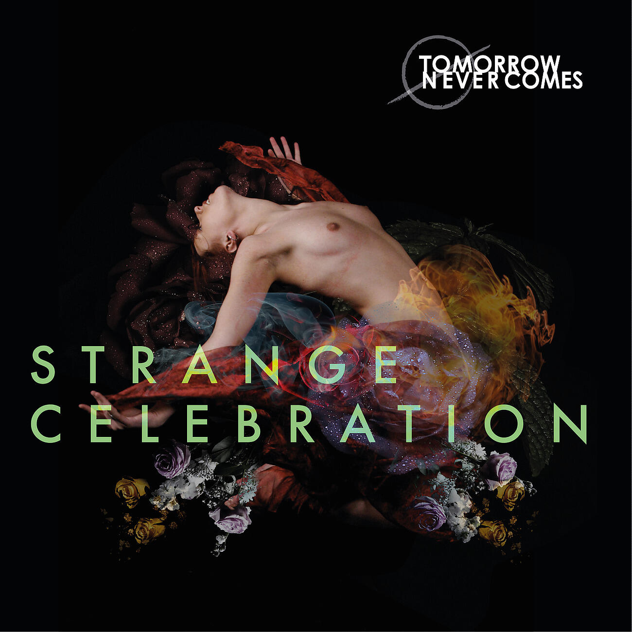 Релиз Strange Celebration