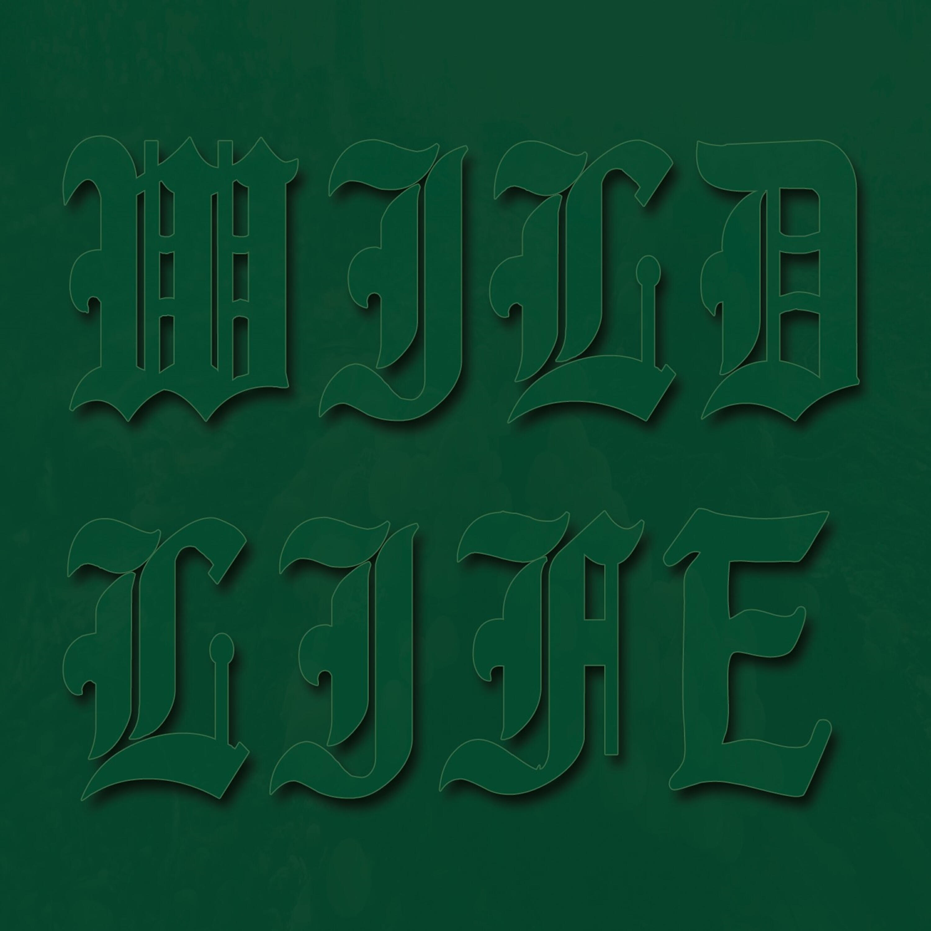 Релиз Wild Life