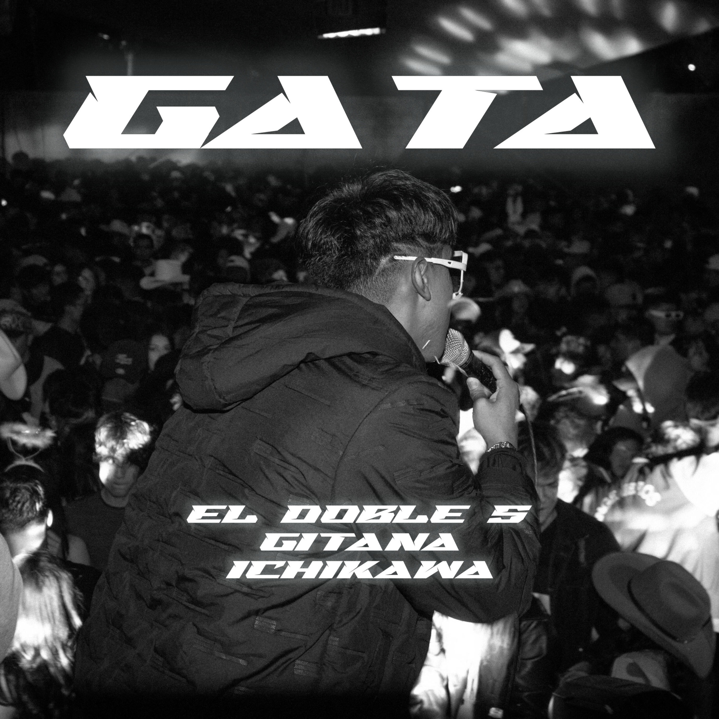 Постер альбома Gata