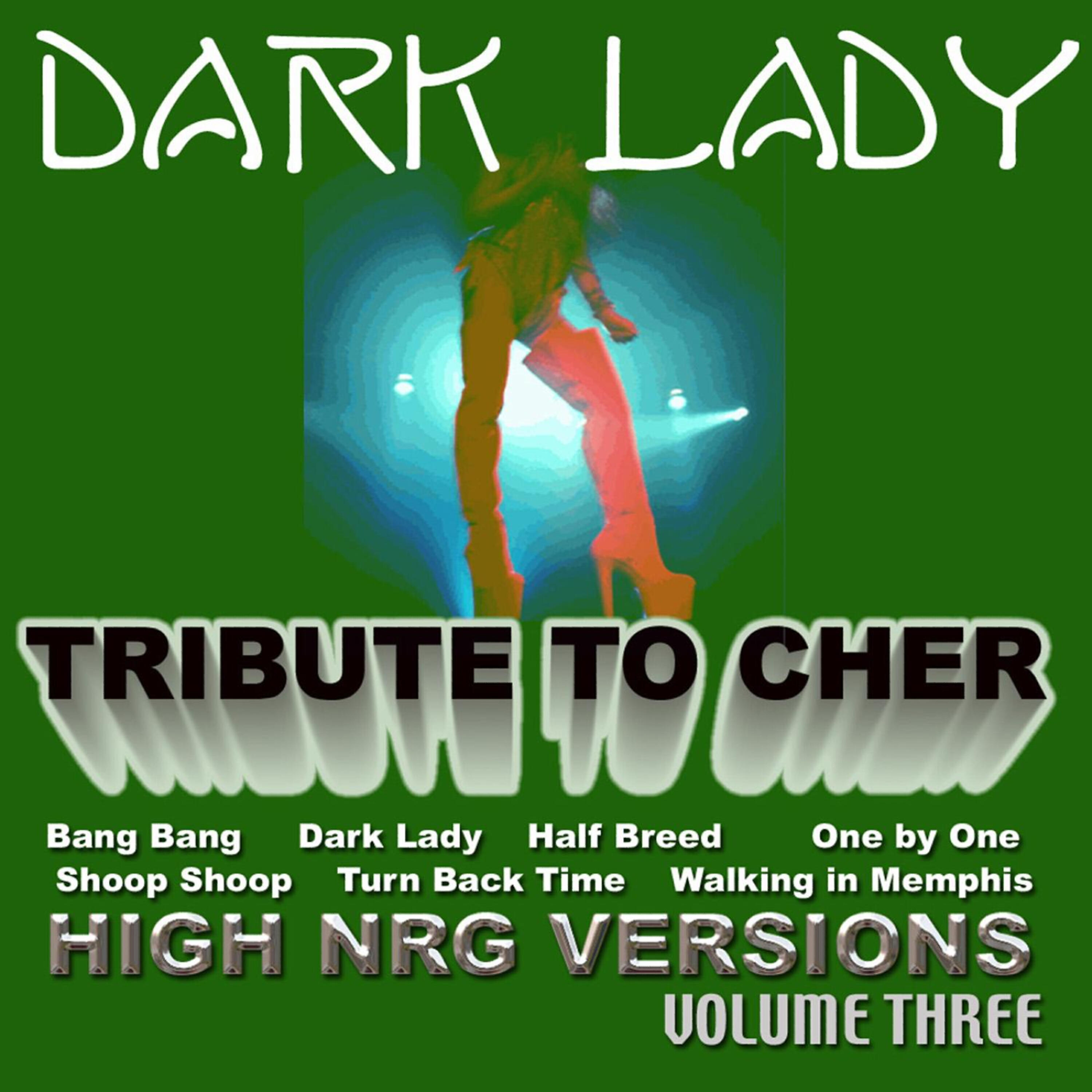 Релиз A Tribute To Cher Volume 3 - (High Energy Versions 1)