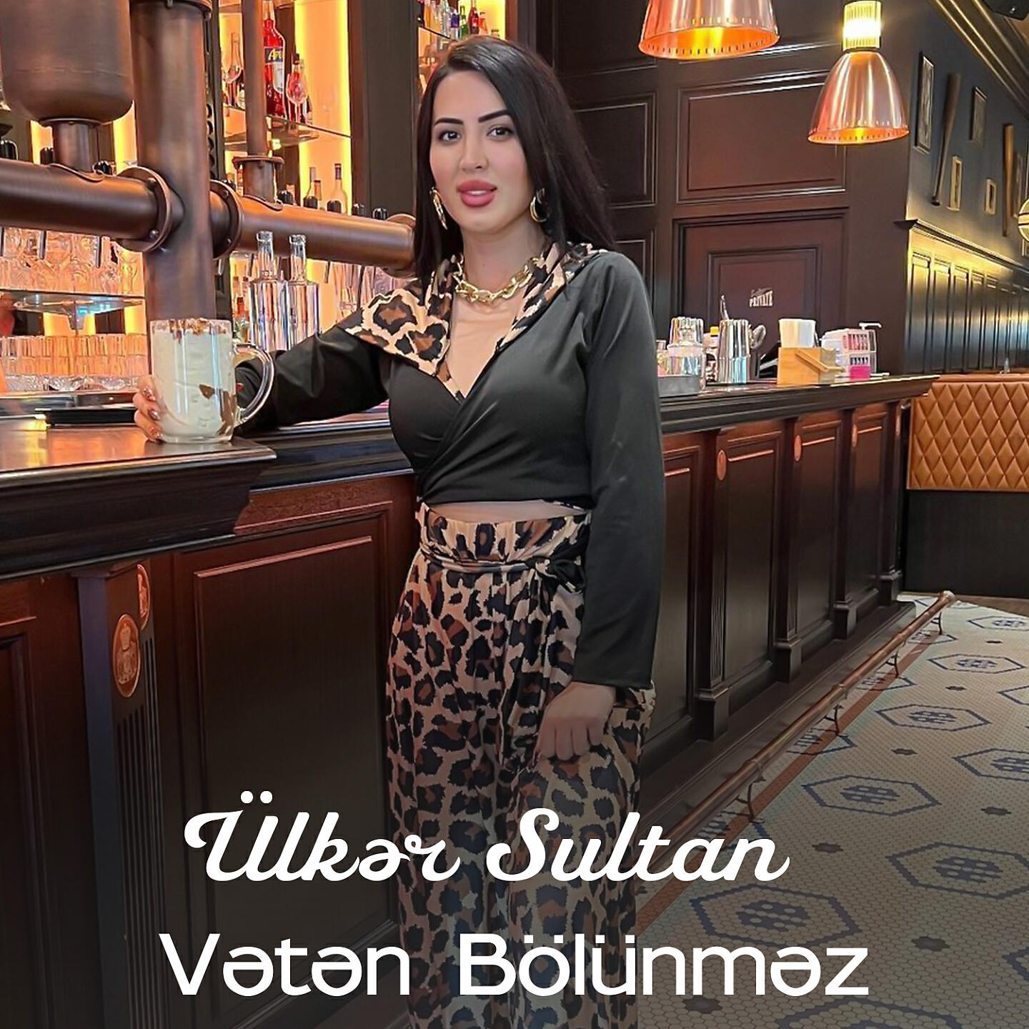 Релиз Vətən Bölünməz
